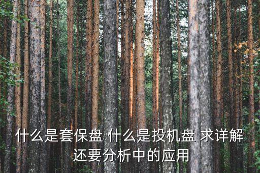 什么是套保盤 什么是投機盤 求詳解 還要分析中的應用