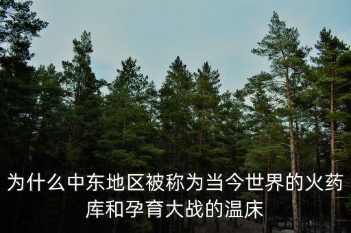為什么中東地區(qū)被稱為當(dāng)今世界的火藥庫和孕育大戰(zhàn)的溫床