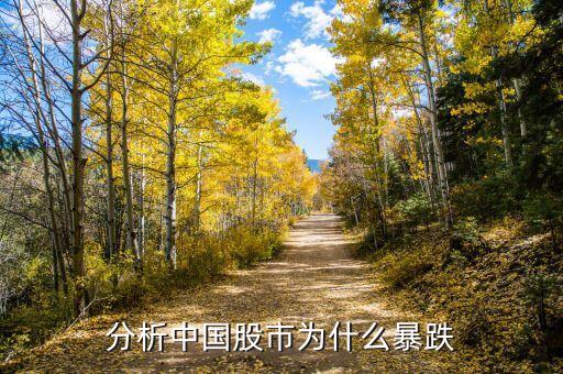 國(guó)家為什么讓股市暴跌，為什么股市大跌怪政府