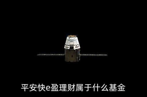519173是什么基金，我發(fā)現(xiàn)基金有各種代碼有125等開頭的每種開頭都是什么含義