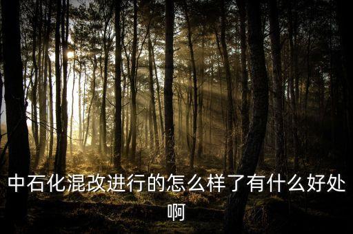 中石化為什么要改革，國(guó)家為什么對(duì)天然氣價(jià)格進(jìn)行改革