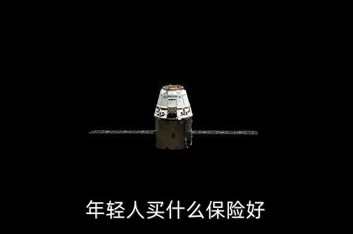 年輕人買(mǎi)什么保險(xiǎn)好