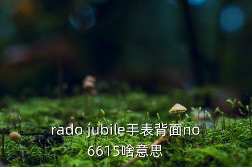 通威豬6615什么意思，諾基亞觸屏手機(jī)桌面內(nèi)容后面的框是否可以設(shè)置為透明的