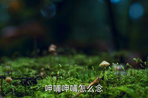 呷哺什么意思，呷哺呷哺怎么念