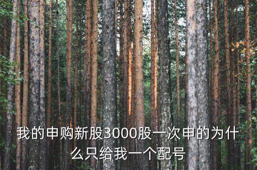 我的申購新股3000股一次申的為什么只給我一個配號