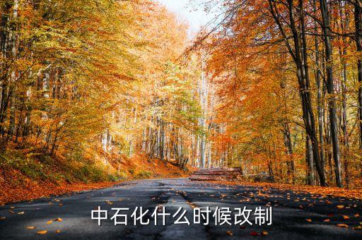 中石化什么時候改制