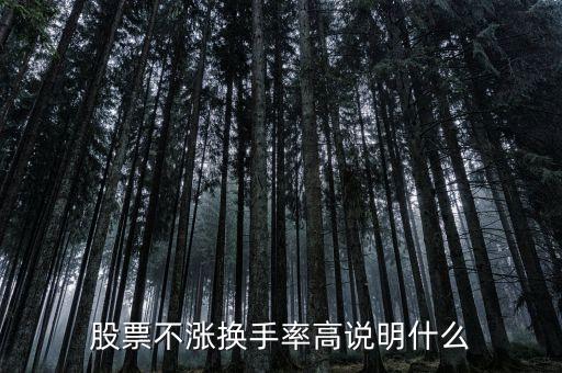 股票不漲換手率高說明什么