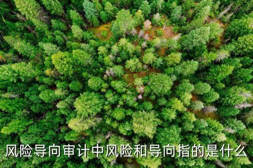 舞弊風(fēng)險(xiǎn)是指什么，財(cái)務(wù)會計(jì)報(bào)告舞弊特征是什么