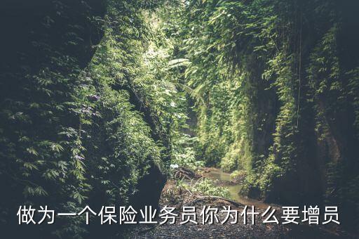 保險為什么要增員，做為一個保險業(yè)務員你為什么要增員