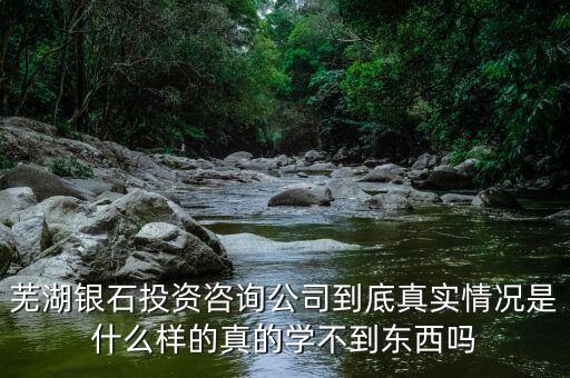 伯威控股是什么，威凌控股公司是做什么的