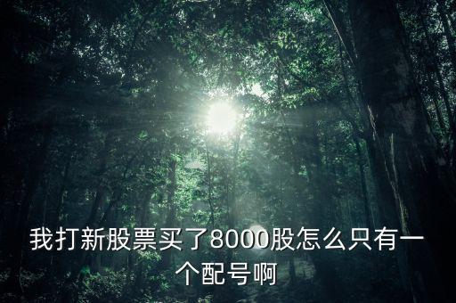 為什么只有一個(gè)配號(hào)，引力申購(gòu)3000股為什么只有一個(gè)配號(hào)
