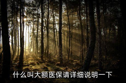 什么是大額保險，什么是大額疾病醫(yī)療保險