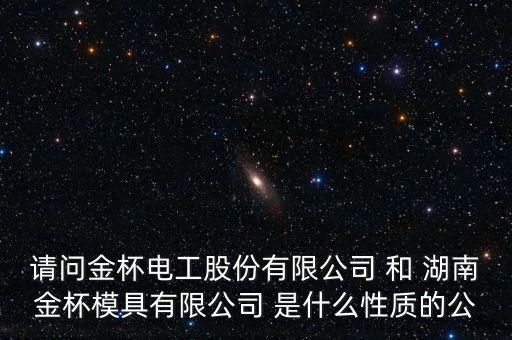 請問金杯電工股份有限公司 和 湖南金杯模具有限公司 是什么性質(zhì)的公