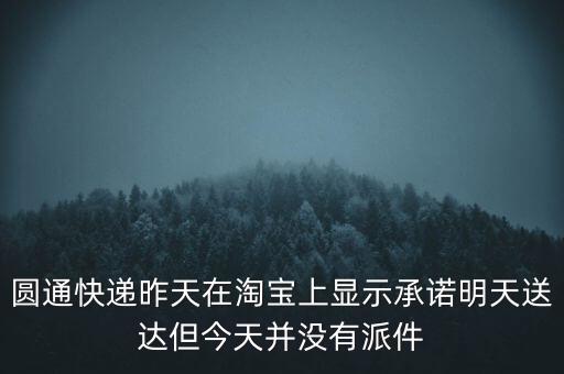 圓通快遞昨天在淘寶上顯示承諾明天送達(dá)但今天并沒有派件