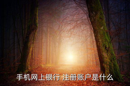 手機(jī)銀行e賬戶是什么，建行e賬戶起什么作用