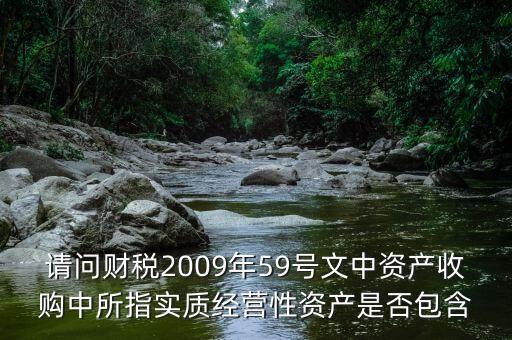 什么是實(shí)質(zhì)經(jīng)營(yíng)性資產(chǎn)，經(jīng)營(yíng)性投資額指的是什么