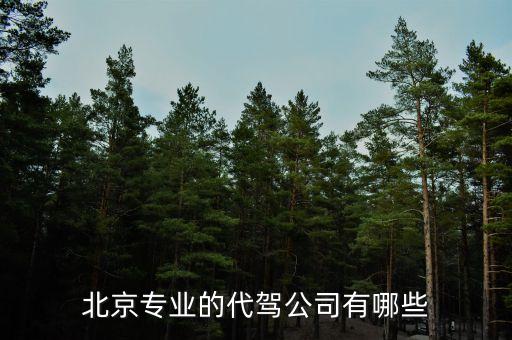 北京什么代駕活的多，北京最好的代駕公司是哪家