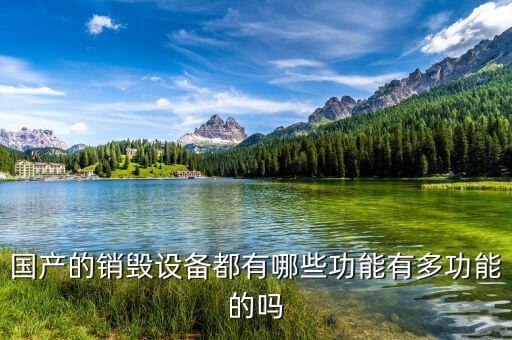 銷毀設備的技術優(yōu)勢是什么，國產的銷毀設備都有哪些功能有多功能的嗎