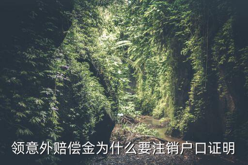 領意外賠償金為什么要注銷戶口證明