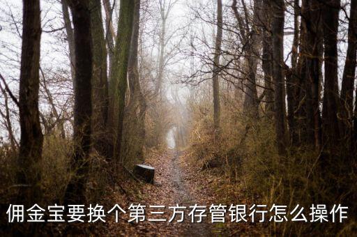 傭金寶支持什么銀行，傭金寶要換個第三方存管銀行怎么操作