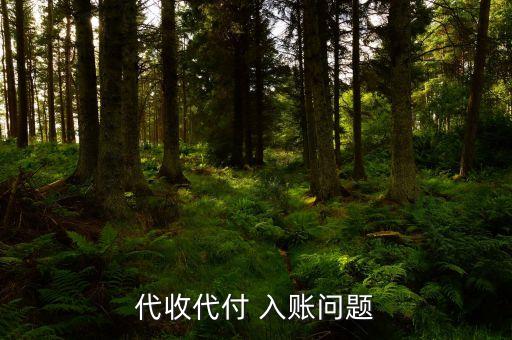 什么叫代付入賬，代收代付 入賬問(wèn)題
