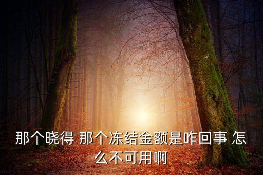 那個曉得 那個凍結(jié)金額是咋回事 怎么不可用啊