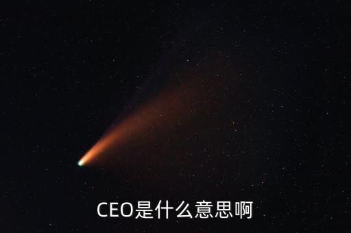 職位總裁是什么意思，CEO是什么意思啊