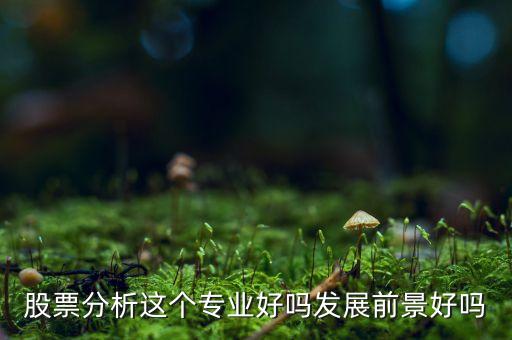股票分析專業(yè)是什么，股票分析這個(gè)專業(yè)好嗎發(fā)展前景好嗎
