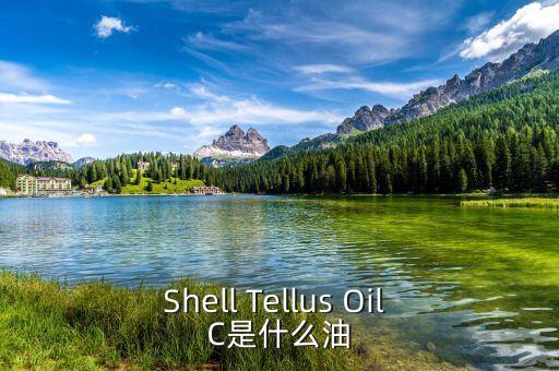 權(quán)益油是什么，Shell Tellus Oil C是什么油