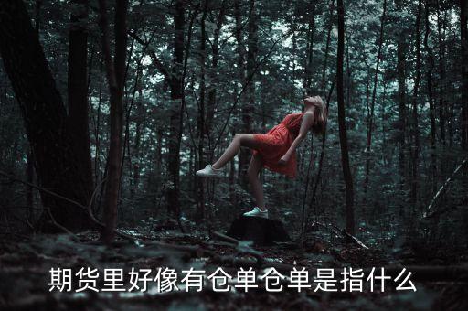 倉(cāng)單上面包括什么內(nèi)容，倉(cāng)單是什么