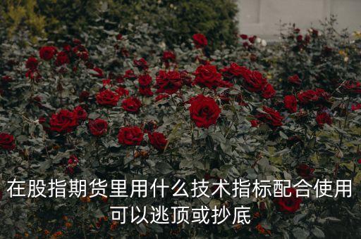 股指期貨什么指標(biāo)好用，做股指期貨那個(gè)指標(biāo)最好