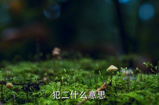 賢二什么意思，忒二是什么意思