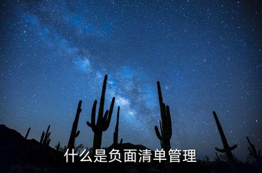 什么是負面清單管理