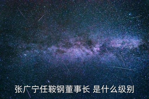 張廣寧任鞍鋼董事長 是什么級別