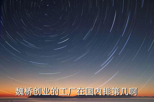 魏橋創(chuàng)業(yè)的工廠在國內(nèi)排第幾啊