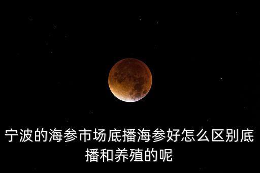 什么是底播海參，底播海參和非底播海參有什么區(qū)別