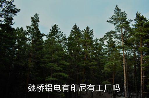 魏橋印尼有什么廠子，魏橋創(chuàng)業(yè)的工廠在國內(nèi)排第幾啊