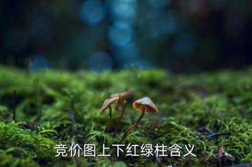股票競價(jià)圖是什么意思，股票競價(jià)圖怎么看