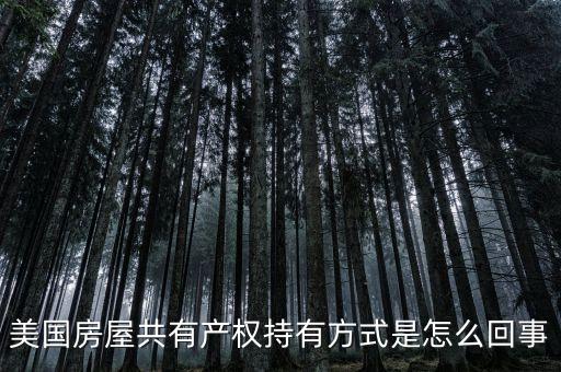 什么是共有產(chǎn)權(quán)產(chǎn)權(quán)模式，美國(guó)房屋共有產(chǎn)權(quán)持有方式是怎么回事