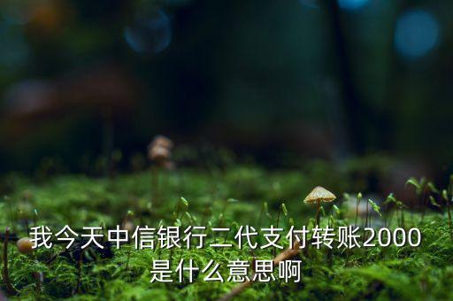 我今天中信銀行二代支付轉(zhuǎn)賬2000是什么意思啊