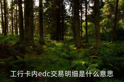 銀行edc是什么意思，工行卡內(nèi)edc交易明細是什么意思