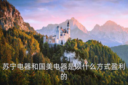 蘇寧電器靠什么賺錢，蘇寧和國(guó)美老板靠什么賺錢是光靠租金嗎