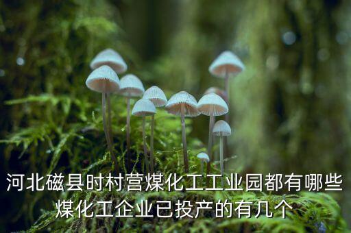 磁縣黑貓生產(chǎn)什么，黑貓是什么廠(chǎng)