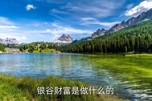 銀谷財(cái)富靠什么盈利，銀谷財(cái)富的年收益是多少