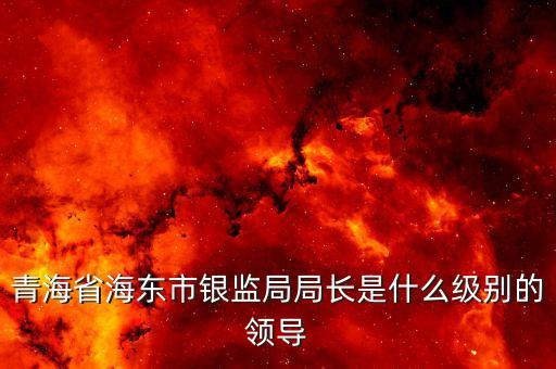 保監(jiān)會(huì)主席什么級(jí)別，青海省海東市銀監(jiān)局局長是什么級(jí)別的領(lǐng)導(dǎo)