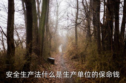 安全生產(chǎn)法什么是生產(chǎn)單位的保命錢