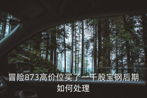 為什么大寧板塊房?jī)r(jià)瘋漲，8月11日房地產(chǎn)板塊漲幅領(lǐng)頭的原因
