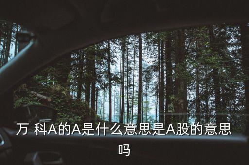 萬得全a什么意思，萬花筒A是什么意思