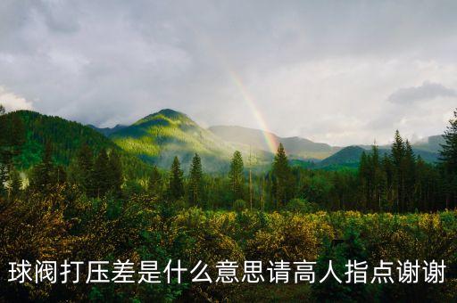 球閥打壓差是什么意思請(qǐng)高人指點(diǎn)謝謝