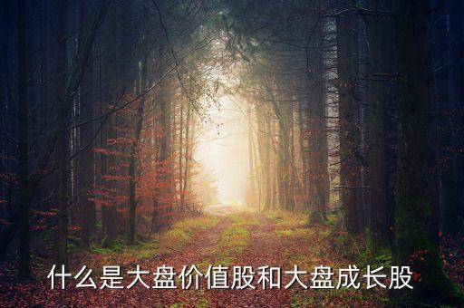 價值股是什么意思，Value stocks是什么意思